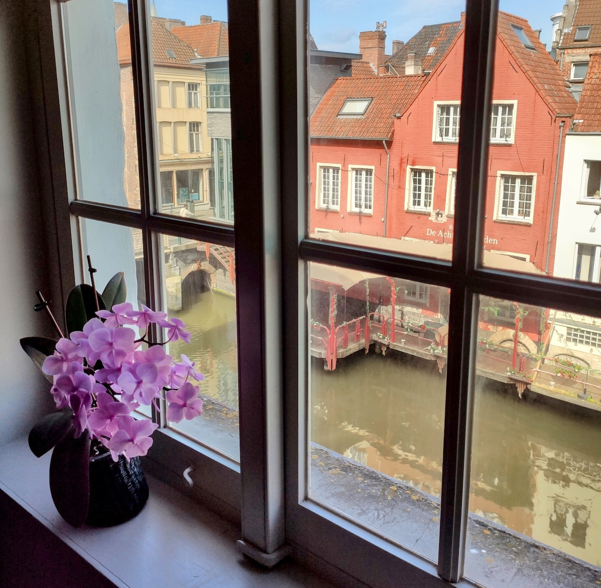 A window offers a view of charming red houses alongside a canal. A small potted orchid in bloom sits on the windowsill, contrasting with the natural light that fills the space.