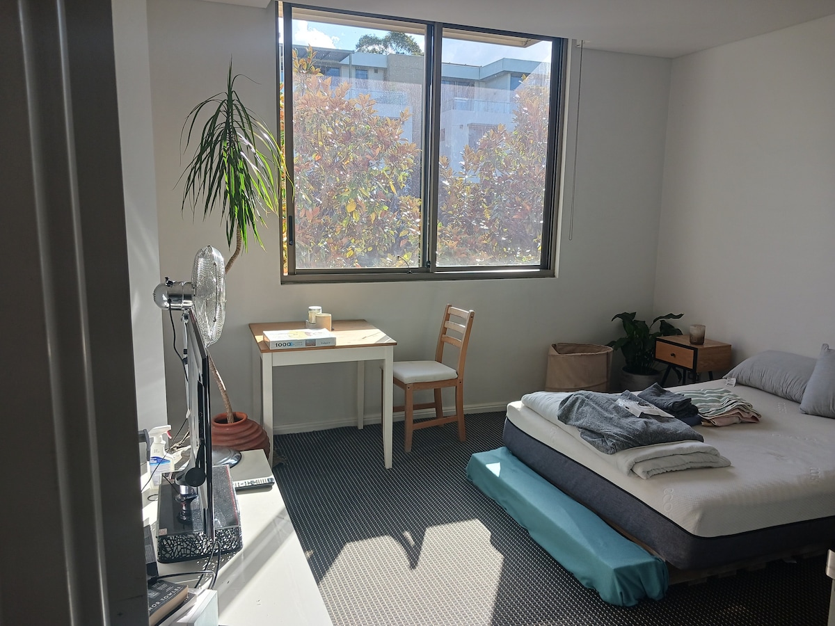A private room features a spacious bed with neatly folded linens. A small wooden desk and chair are positioned beside a large window, allowing natural light to brighten the space. A decorative plant adds a touch of greenery, complementing the neutral color scheme.