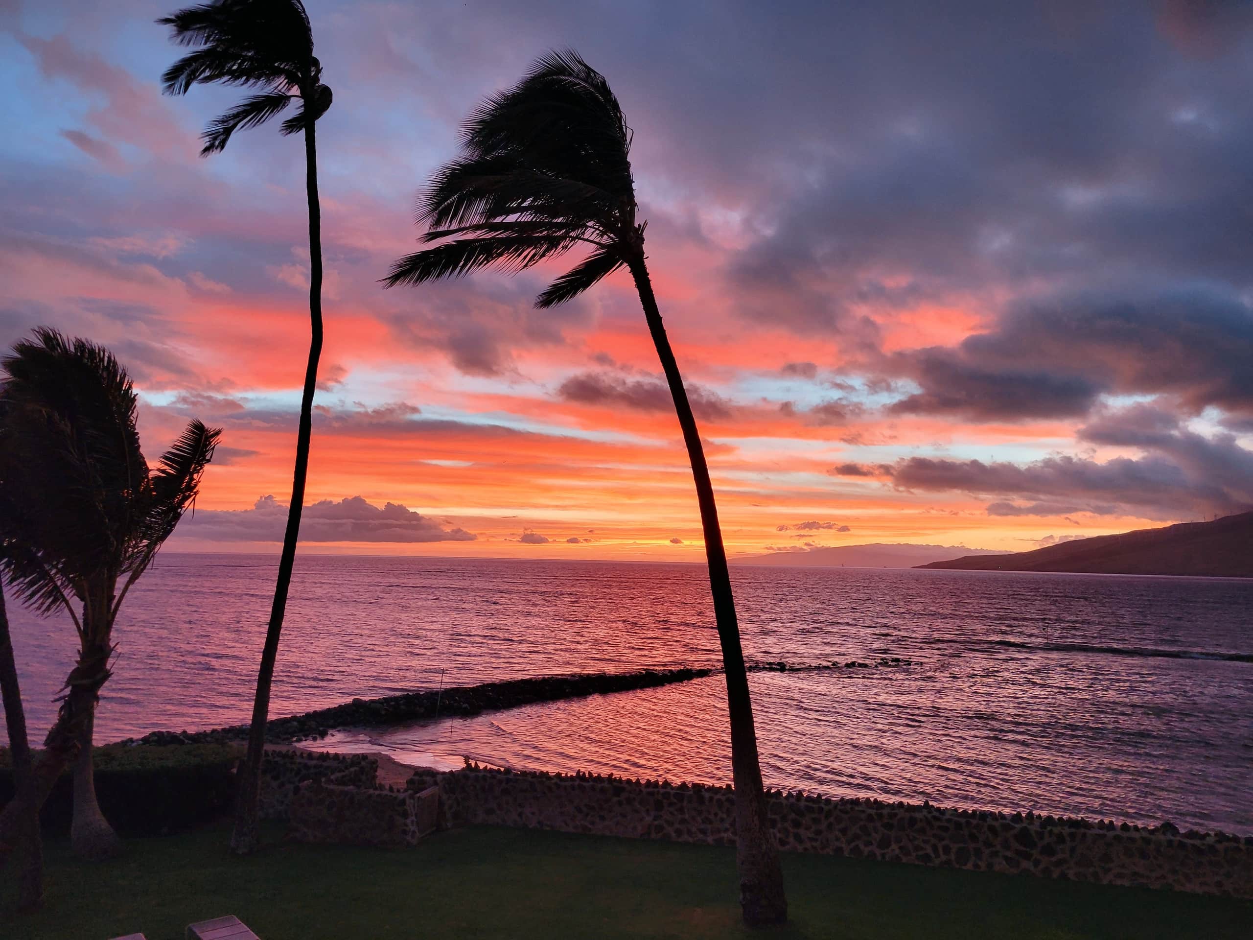 Condo in Kihei · ★4.99 · 1 bedroom · 1 bed · 1 bath - Image 6