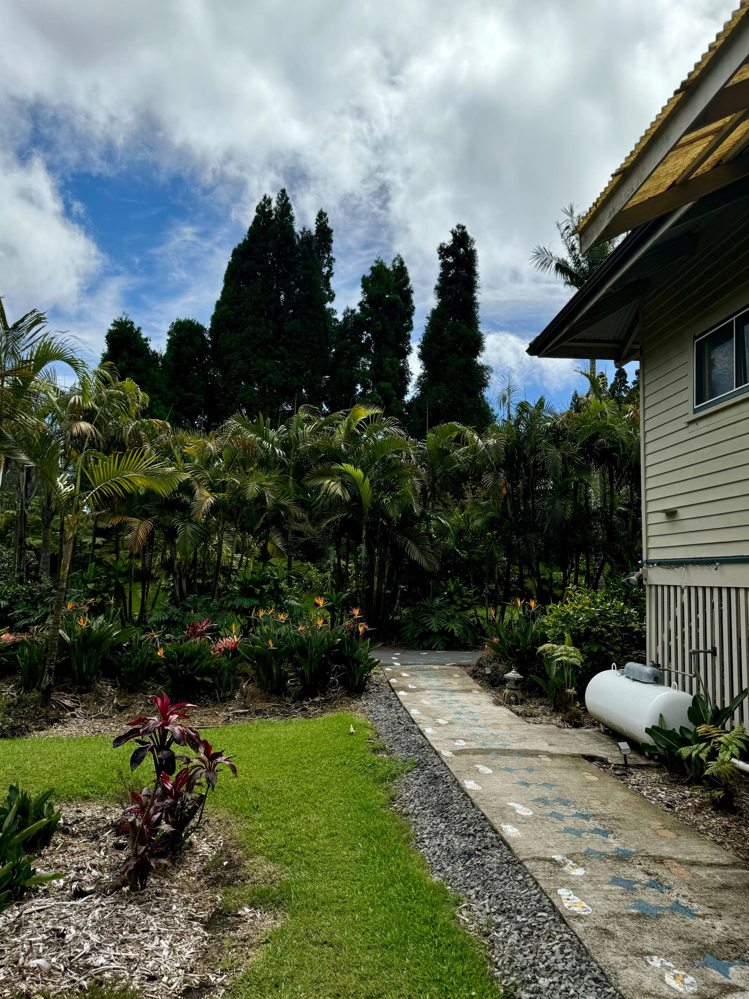 Guesthouse in Volcano · ★5.0 · 1 bedroom · 1 bed · No bathroom - Image 29