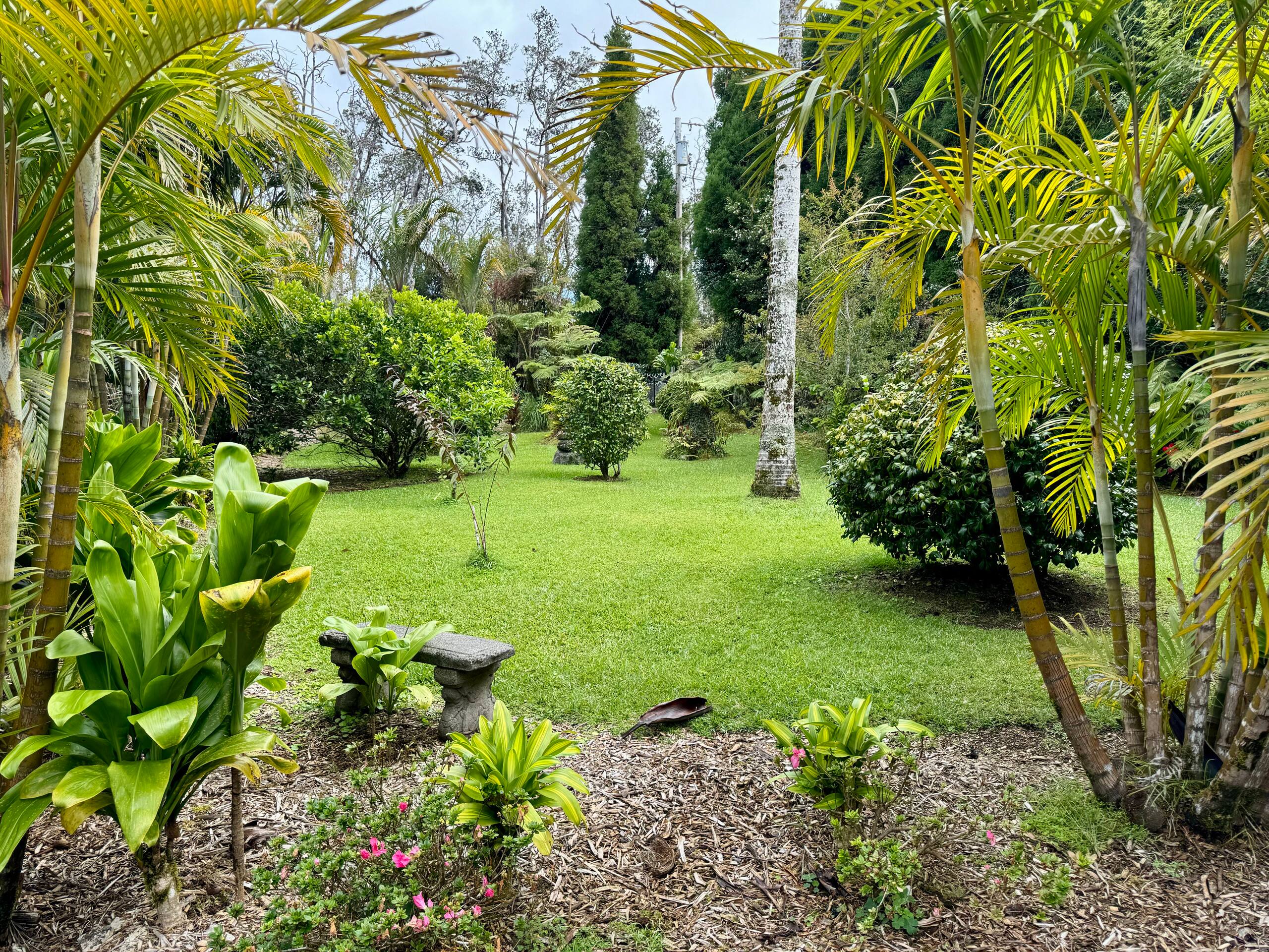 Guesthouse in Volcano · ★5.0 · 1 bedroom · 1 bed · No bathroom - Image 16