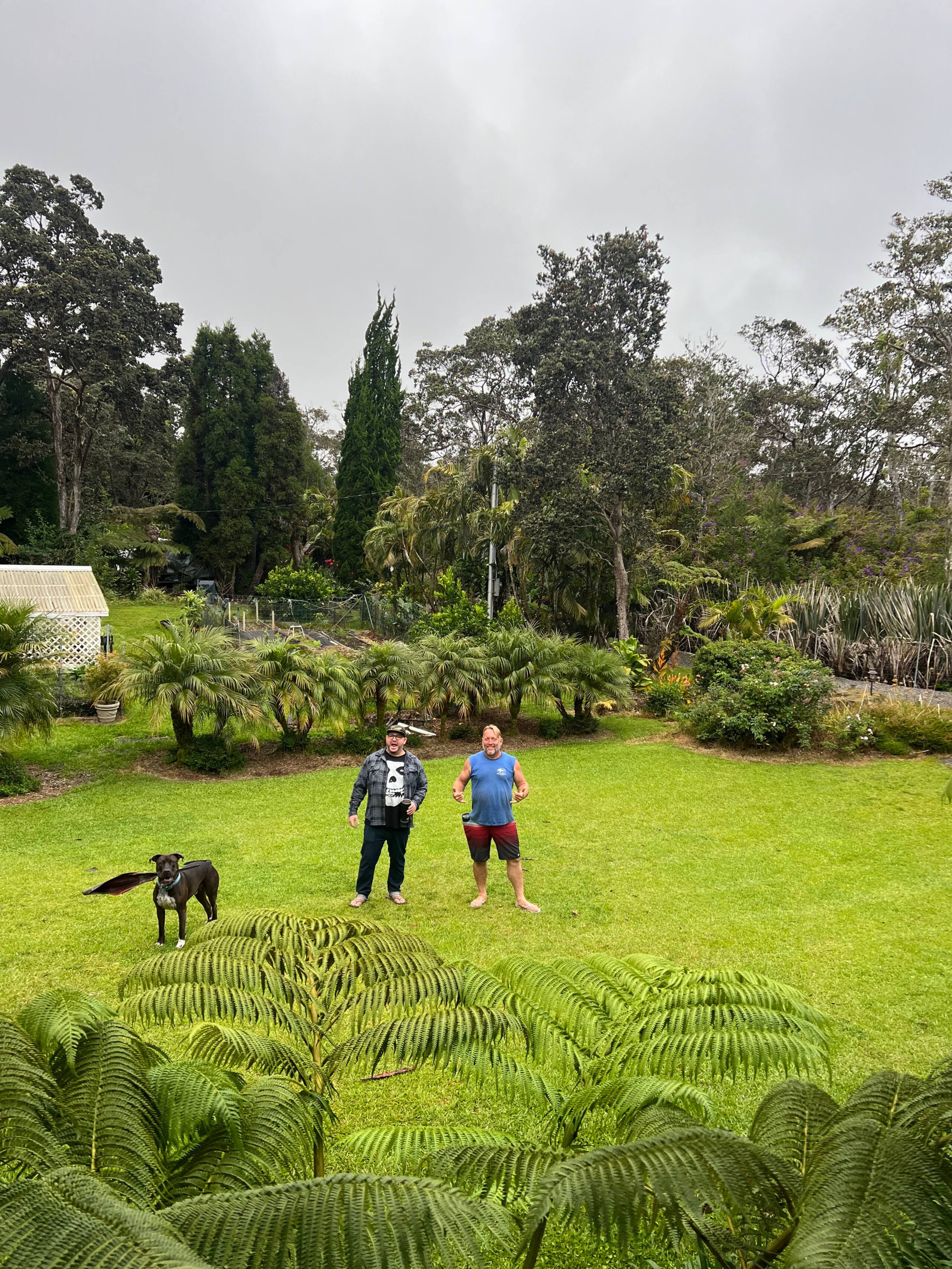 Guesthouse in Volcano · ★5.0 · 1 bedroom · 1 bed · No bathroom - Image 36