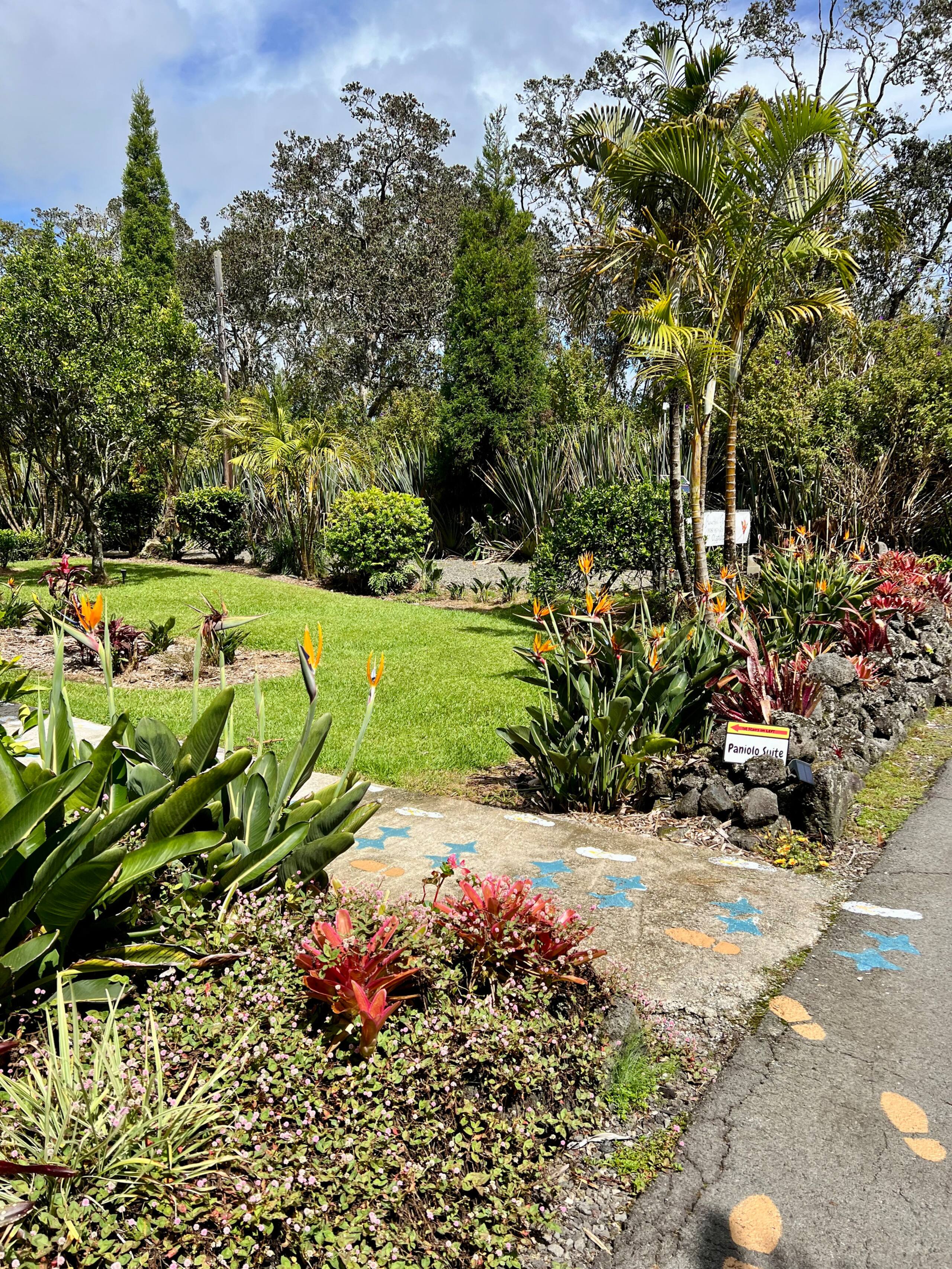 Guesthouse in Volcano · ★5.0 · 1 bedroom · 1 bed · No bathroom - Image 20