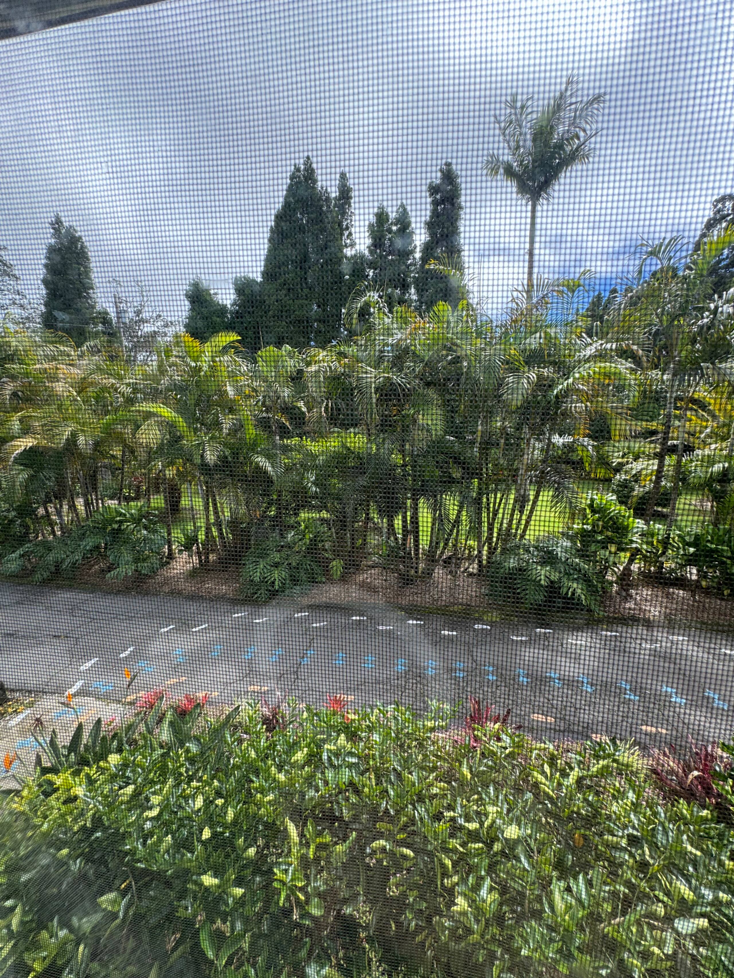 Guesthouse in Volcano · ★5.0 · 1 bedroom · 1 bed · No bathroom - Image 27