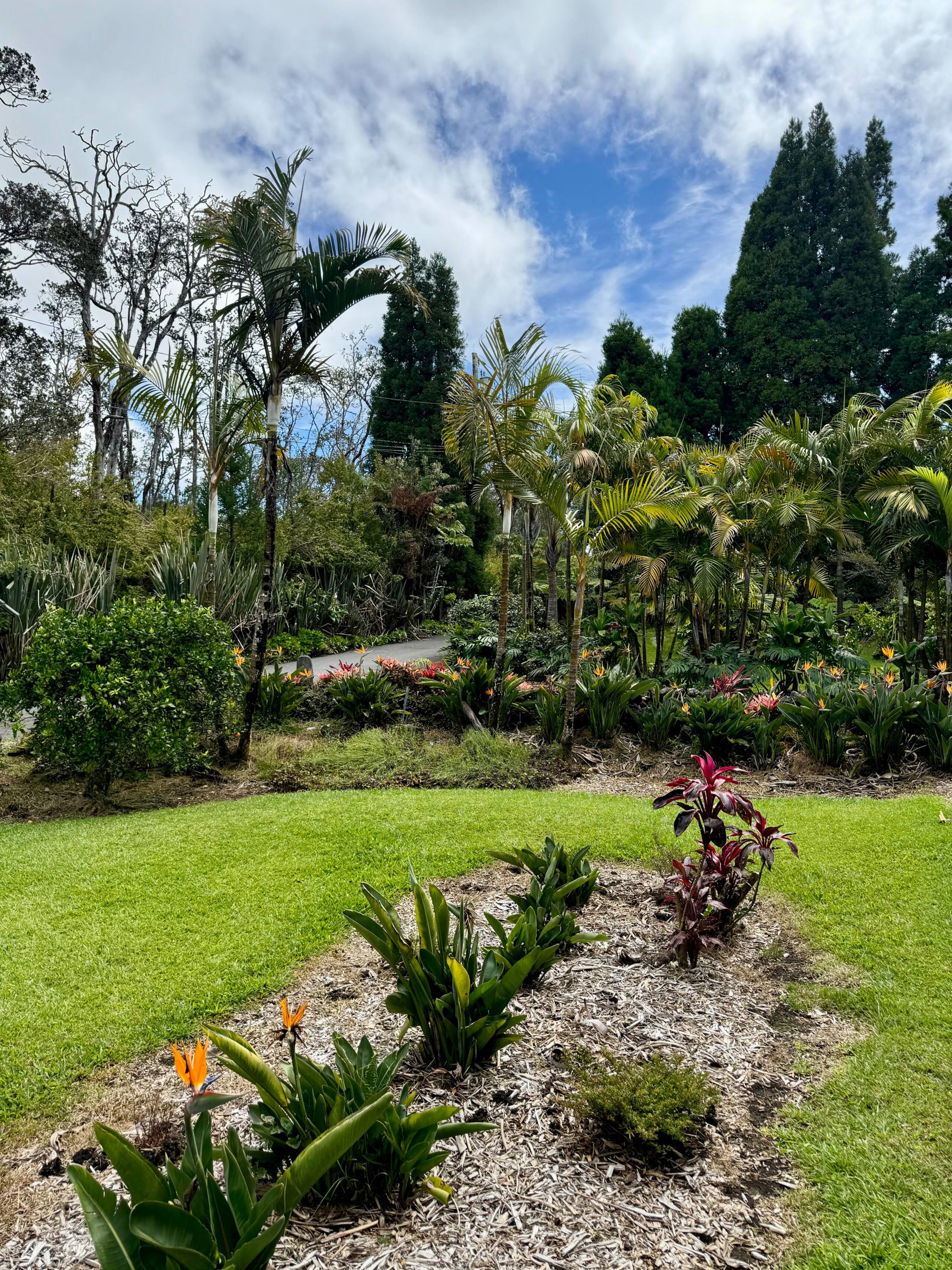 Guesthouse in Volcano · ★5.0 · 1 bedroom · 1 bed · No bathroom - Image 30