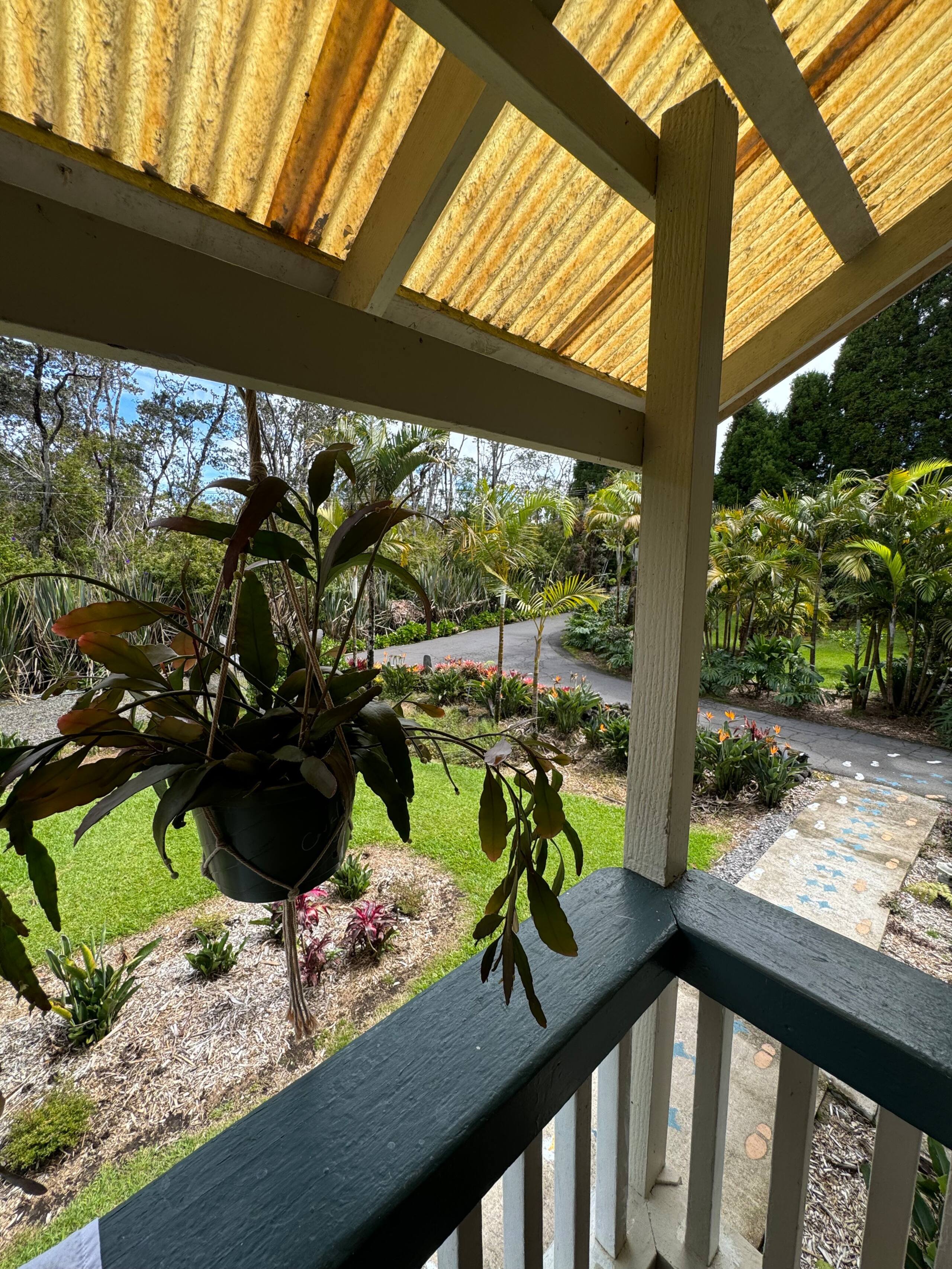 Guesthouse in Volcano · ★5.0 · 1 bedroom · 1 bed · No bathroom - Image 25