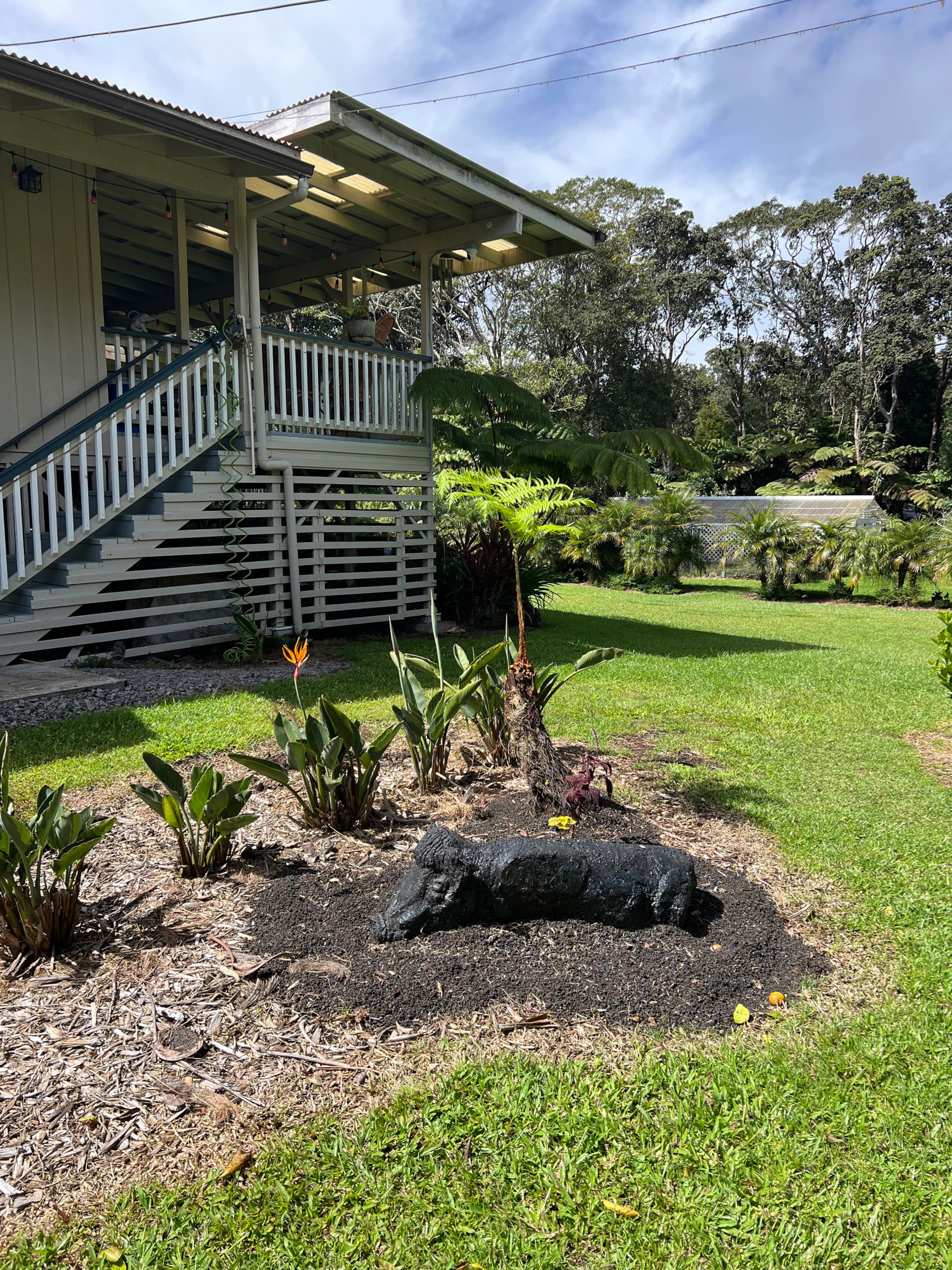 Guesthouse in Volcano · ★5.0 · 1 bedroom · 1 bed · No bathroom - Image 19
