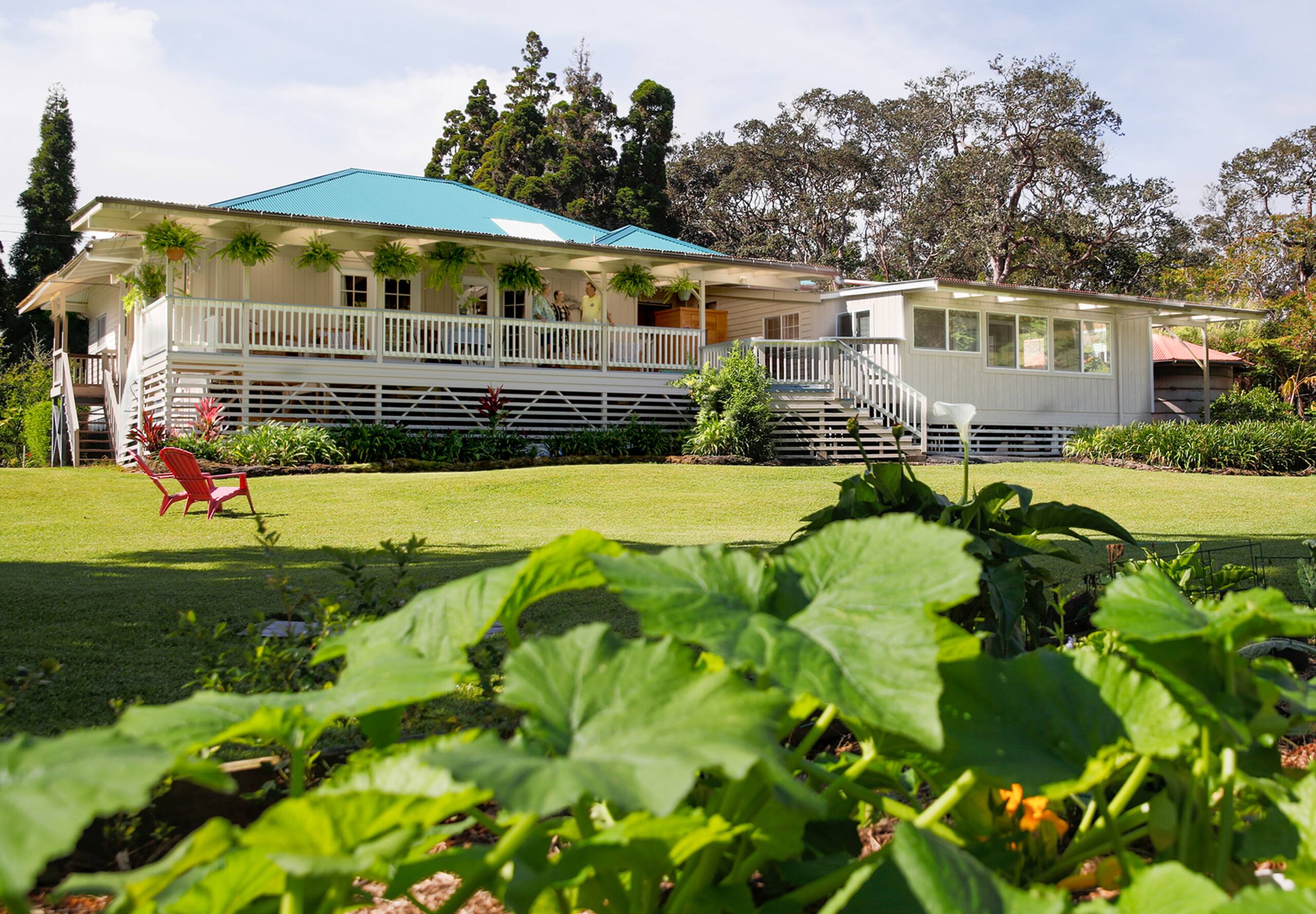 Guesthouse in Volcano · ★4.92 · 1 bedroom · 1 bed · 2 private baths - Image 9