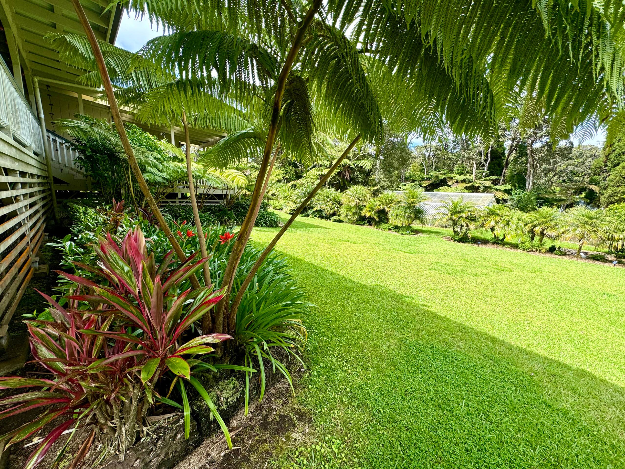 Guesthouse in Volcano · ★4.81 · 1 bedroom · 1 bed · 1 private bath - Image 63