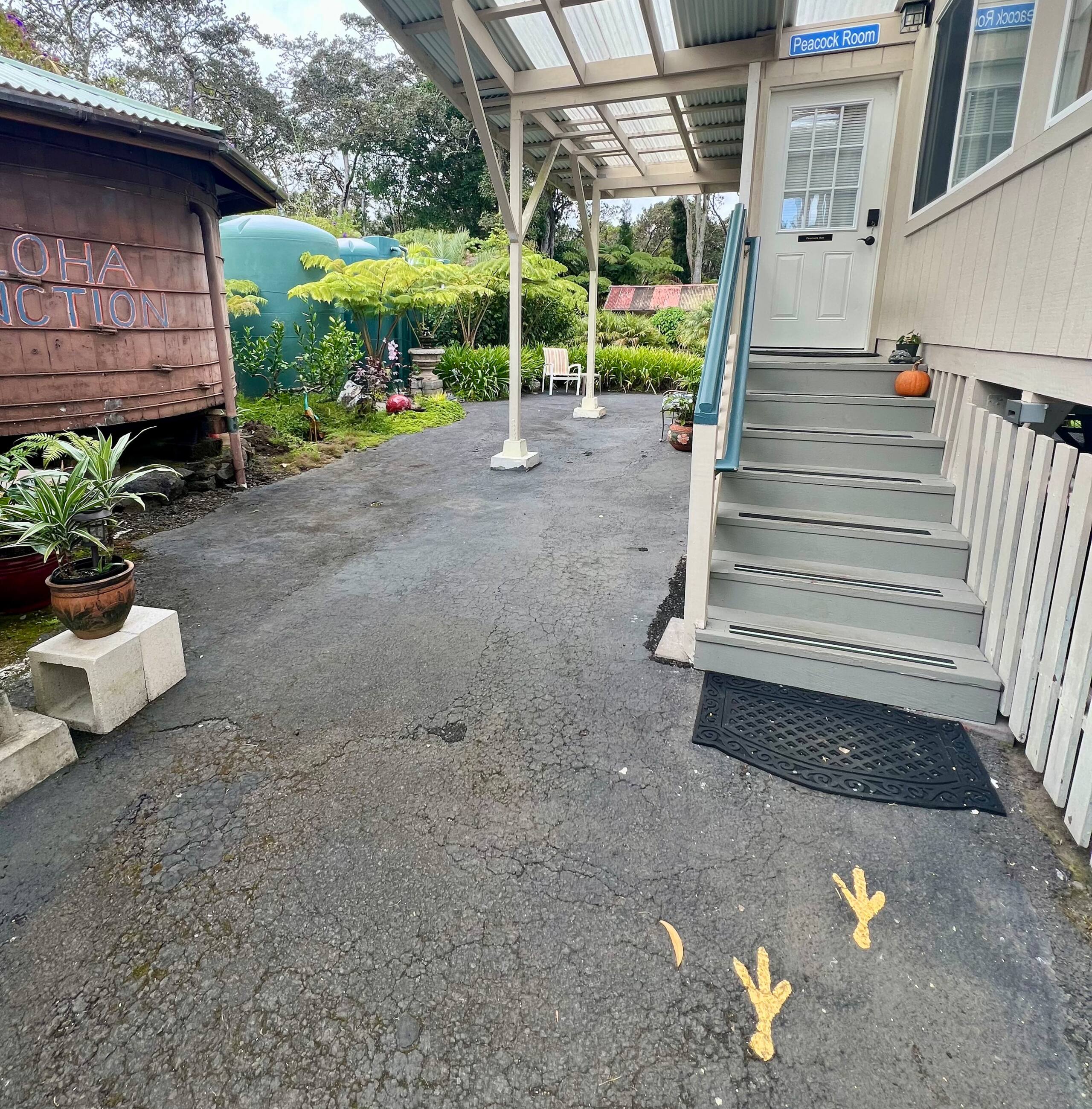 Guesthouse in Volcano · ★4.81 · 1 bedroom · 1 bed · 1 private bath - Image 16