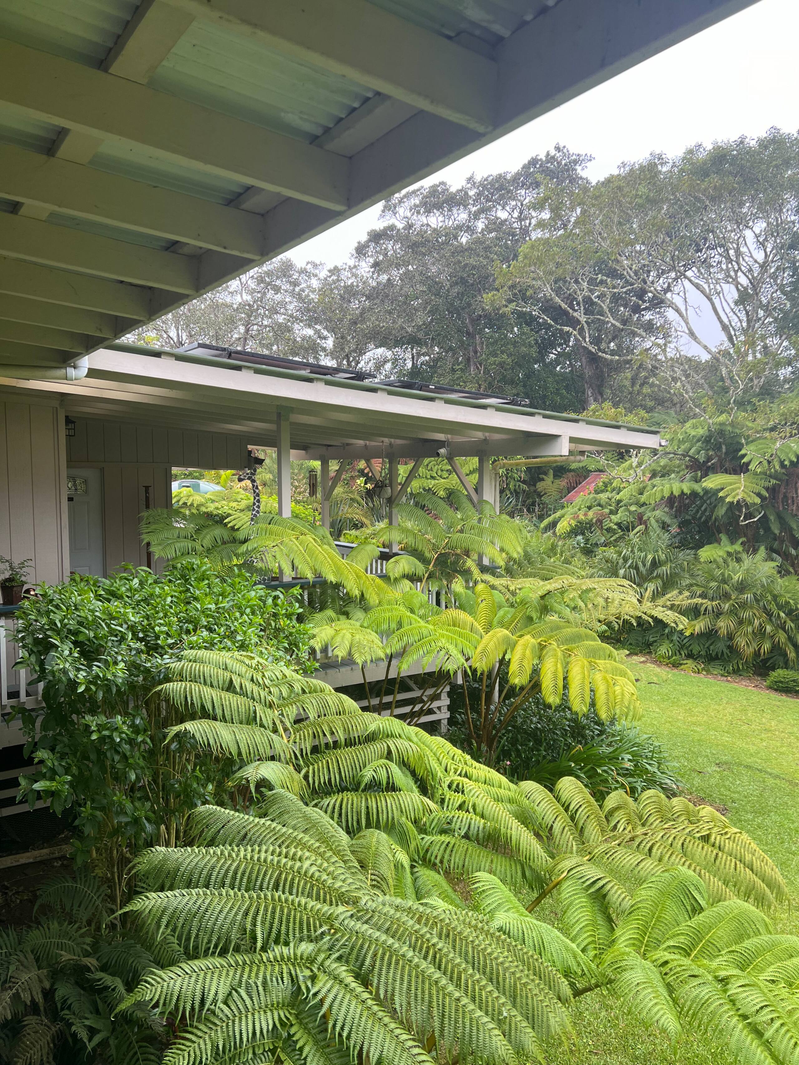 Guesthouse in Volcano · ★4.81 · 1 bedroom · 1 bed · 1 private bath - Image 19