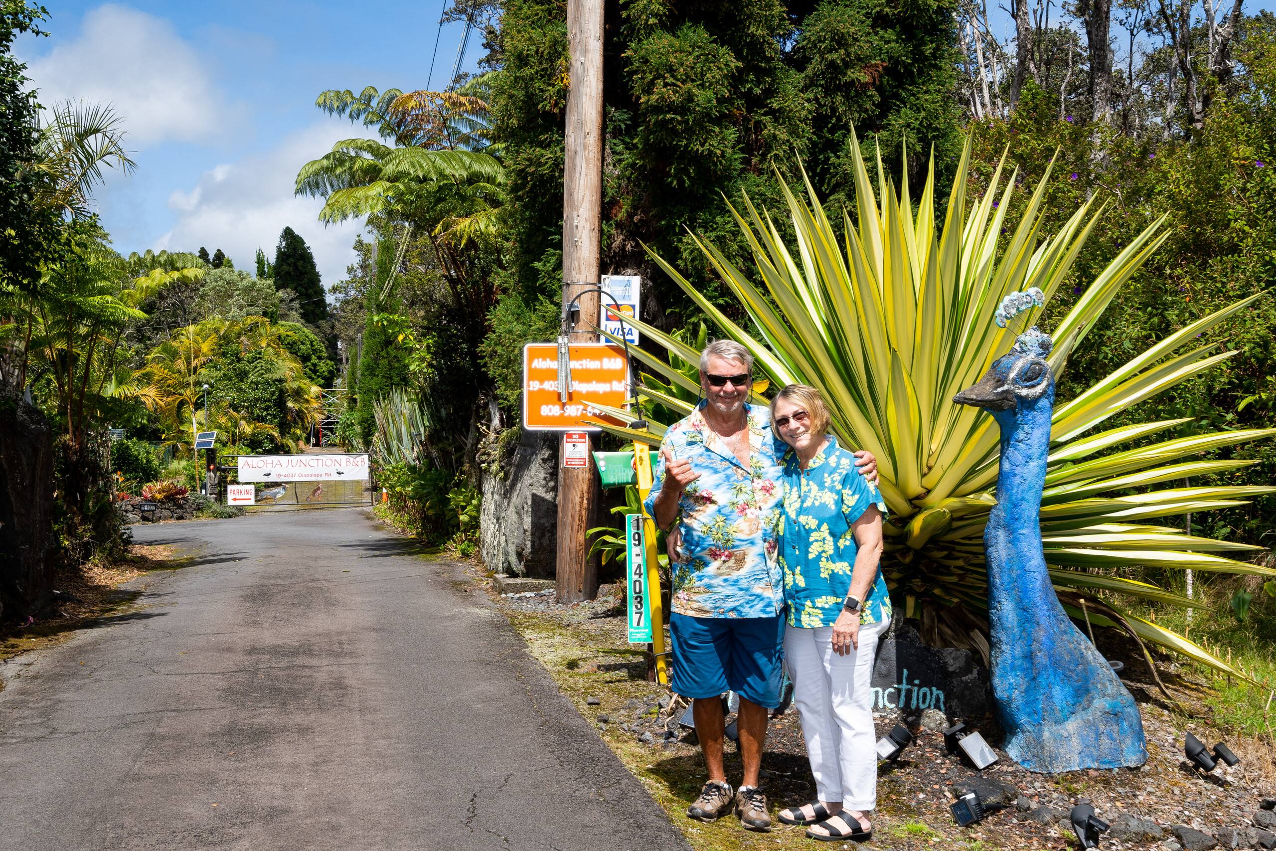 Guesthouse in Volcano · ★4.81 · 1 bedroom · 1 bed · 1 private bath - Image 56