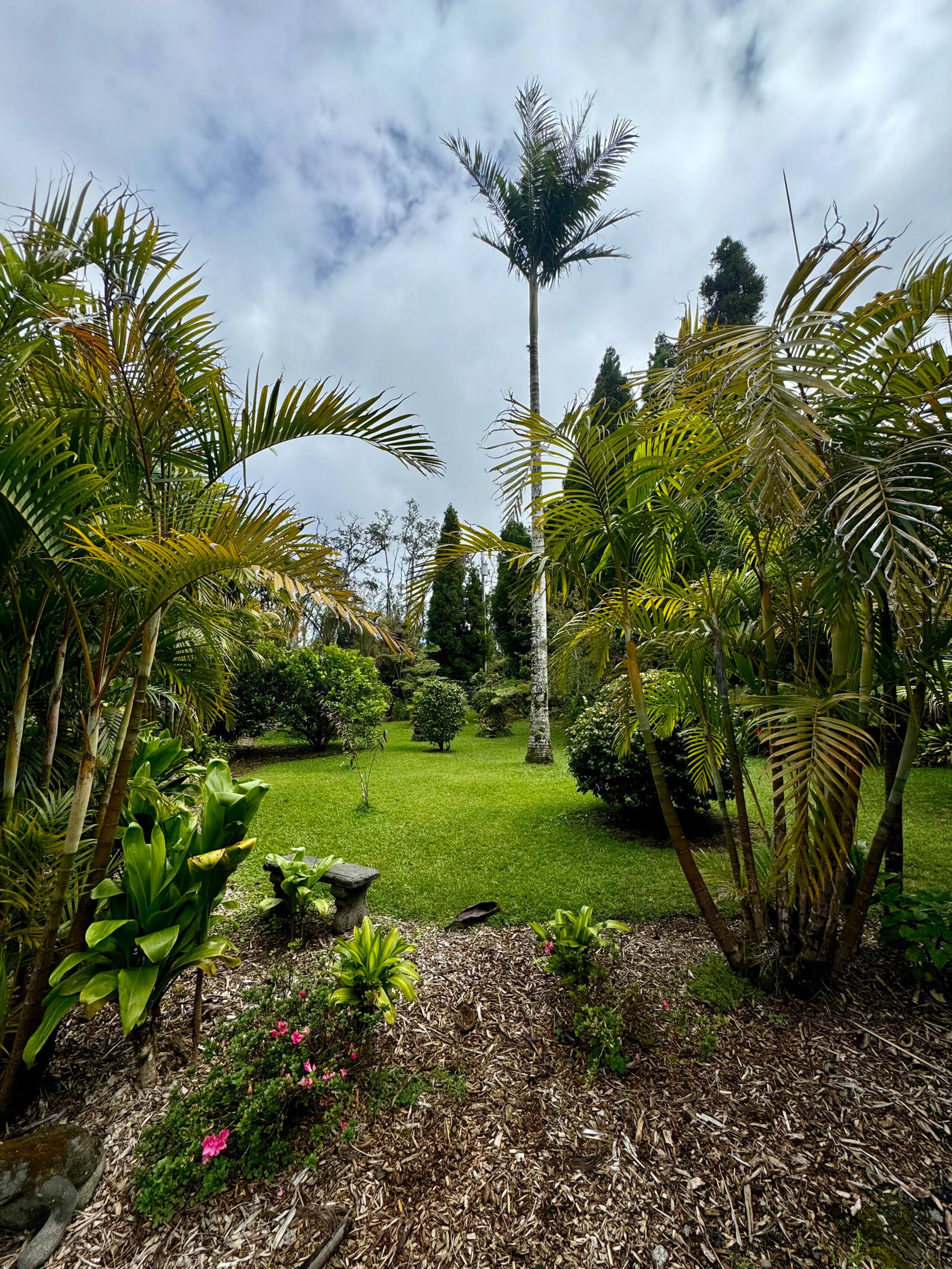 Guesthouse in Volcano · ★4.81 · 1 bedroom · 1 bed · 1 private bath - Image 61