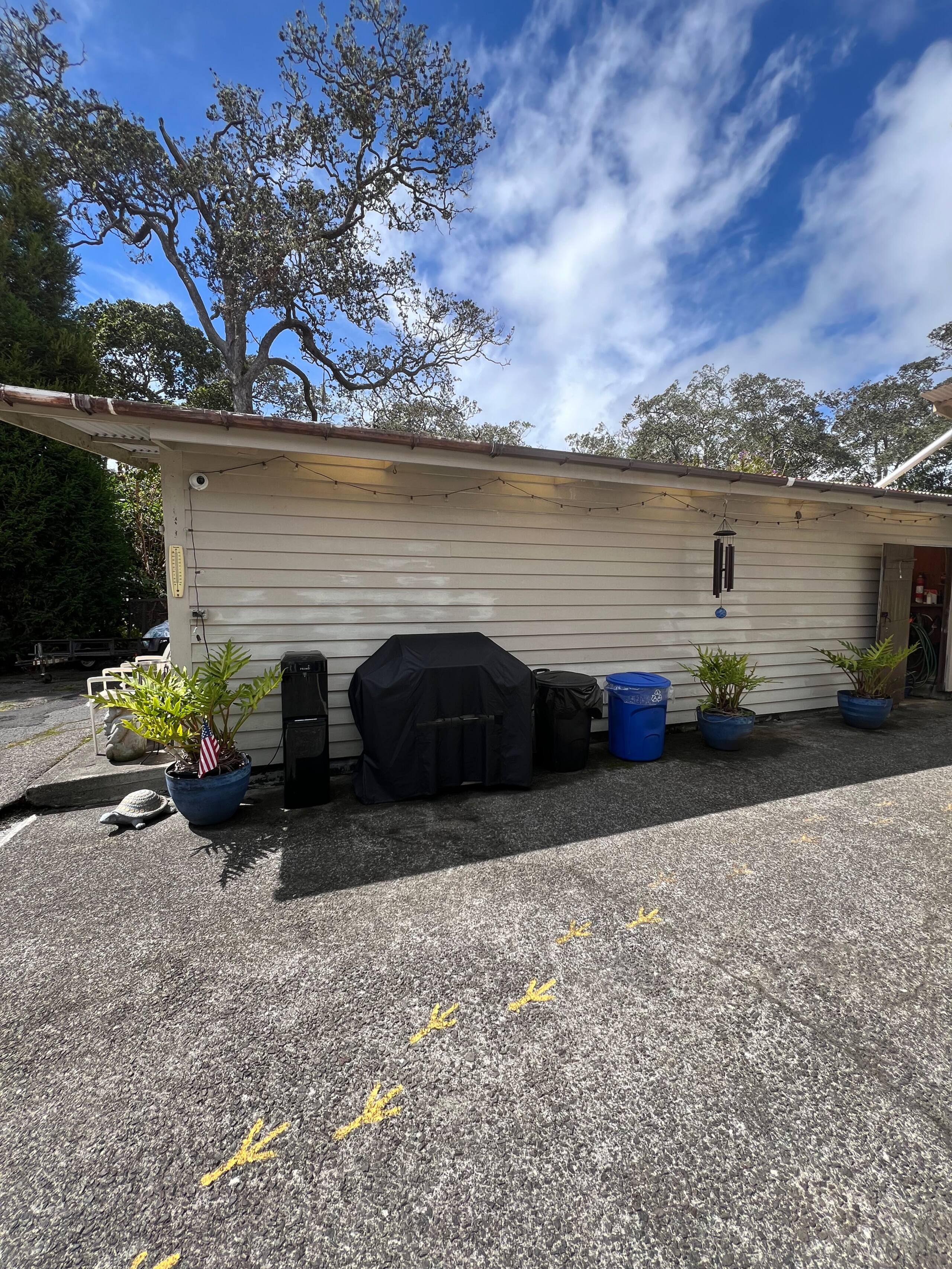 Guesthouse in Volcano · ★4.81 · 1 bedroom · 1 bed · 1 private bath - Image 48