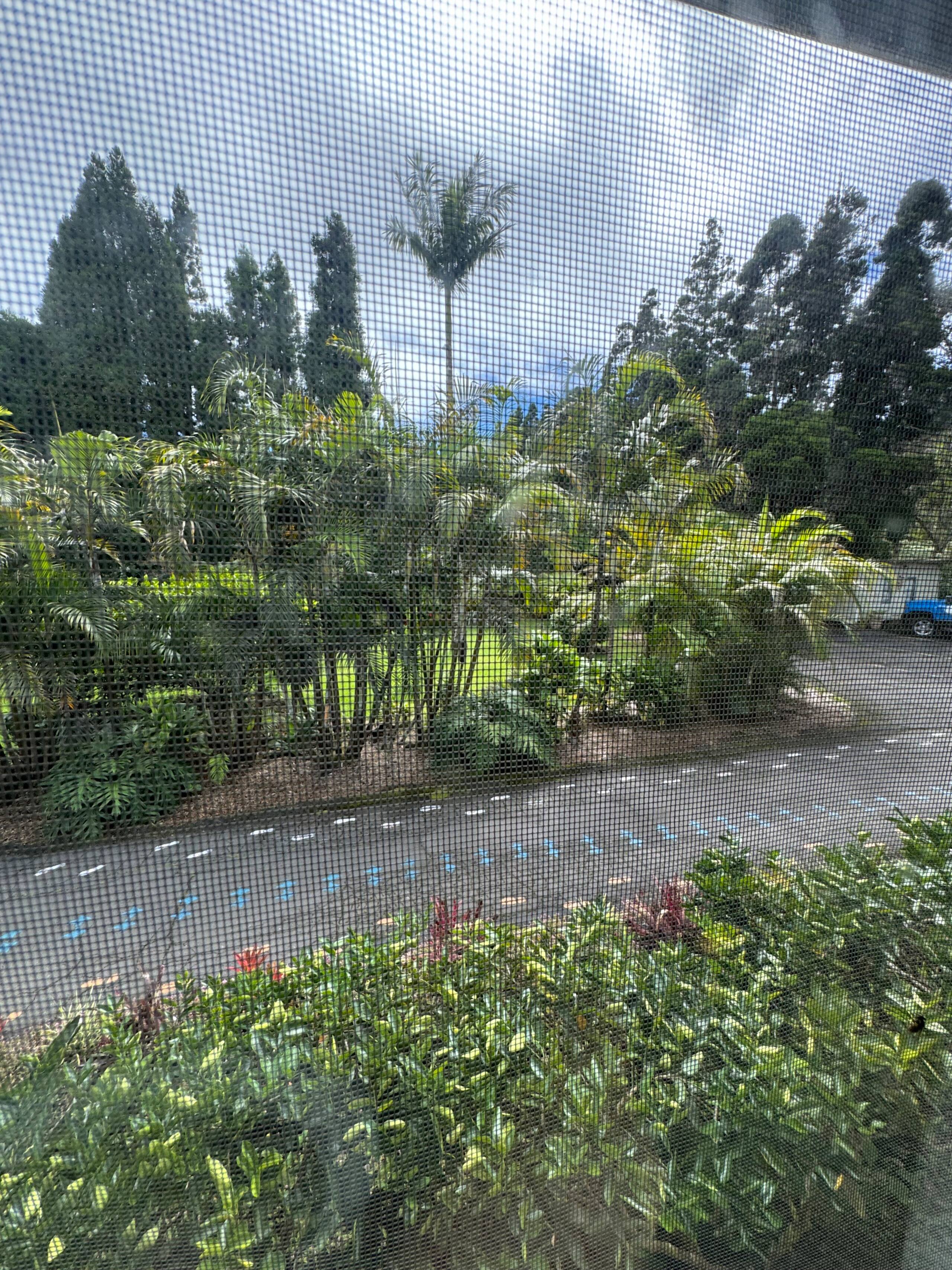 Guesthouse in Volcano · ★4.81 · 1 bedroom · 1 bed · 1 private bath - Image 59
