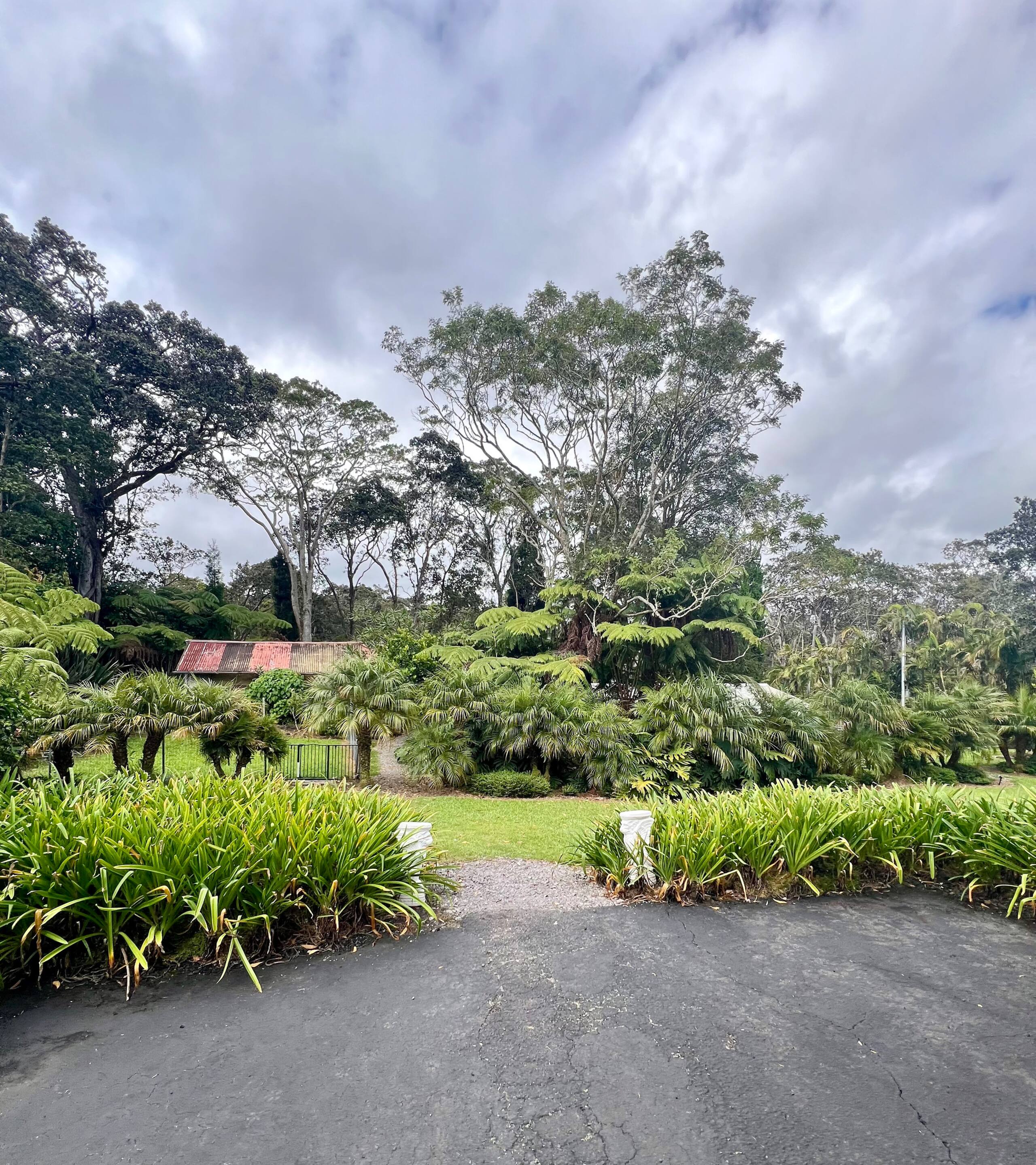 Guesthouse in Volcano · ★4.81 · 1 bedroom · 1 bed · 1 private bath - Image 17
