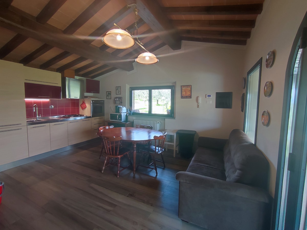 Top performing Airbnb: Villa in Tuscany - Reggello, with Swimming Pool and WiFi. in Reggello