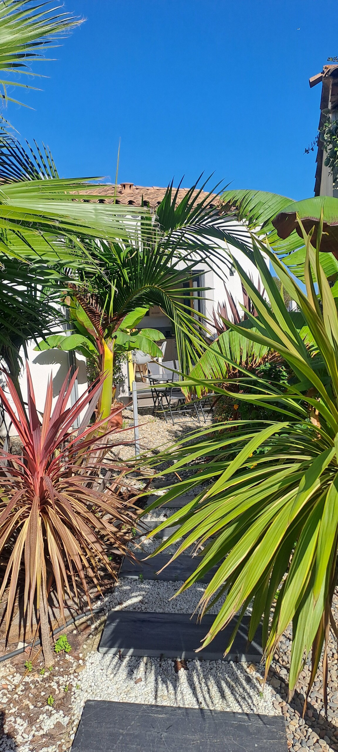 A garden pathway lined with lush tropical plants leads towards a welcoming entrance. The vibrant foliage includes tall palms and colorful leaves, creating a serene and inviting atmosphere. Clear blue skies add to the bright environment, enhancing the natural beauty surrounding the entrance.