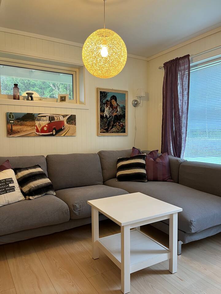 Sala de estar acogedora con un buen sofá, que también se puede utilizar como alojamiento (si hay muchos huéspedes)