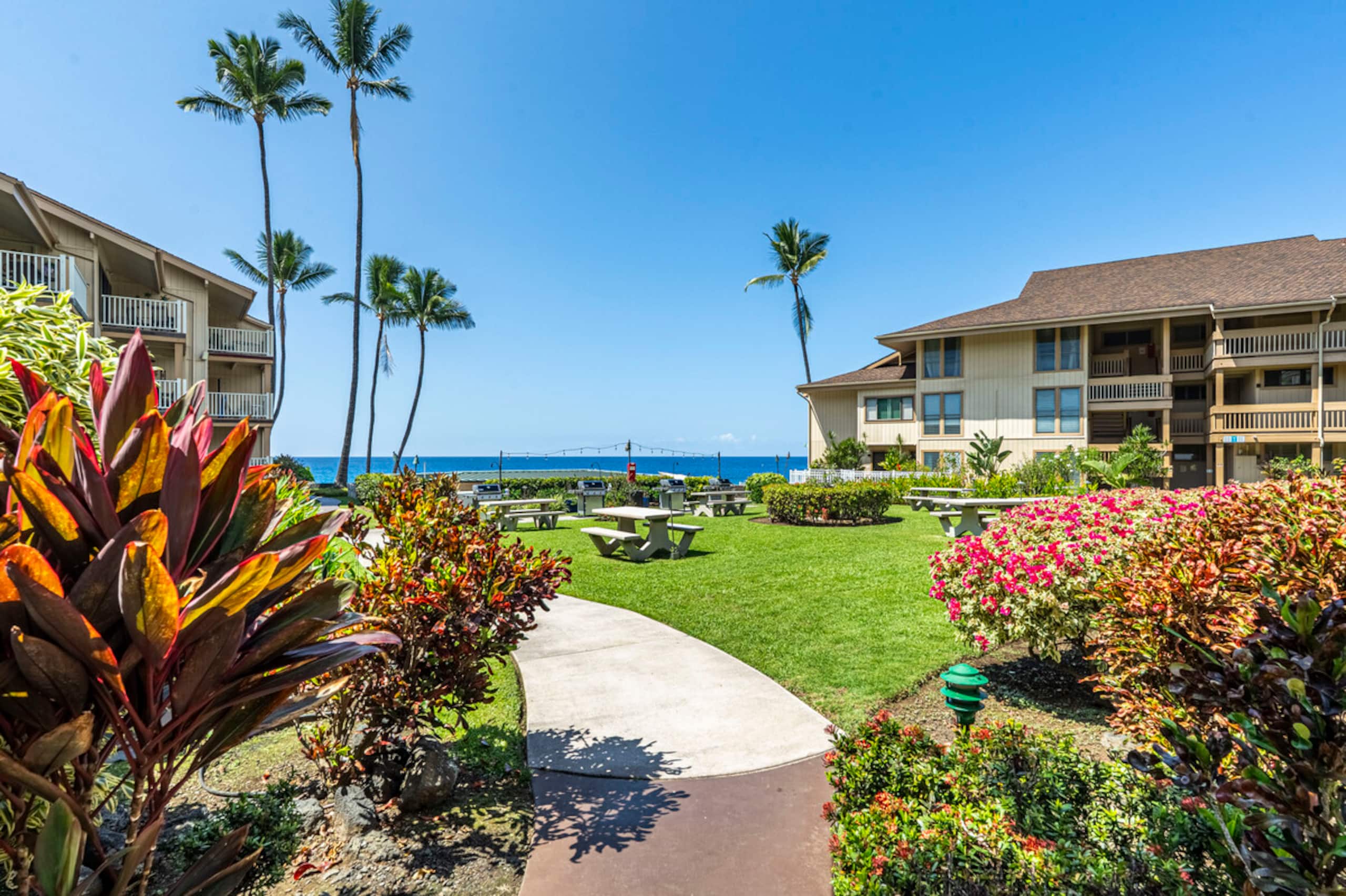 Condo in Kailua-Kona · ★4.92 · 1 bedroom · 1 bed · 1 bath - Image 37