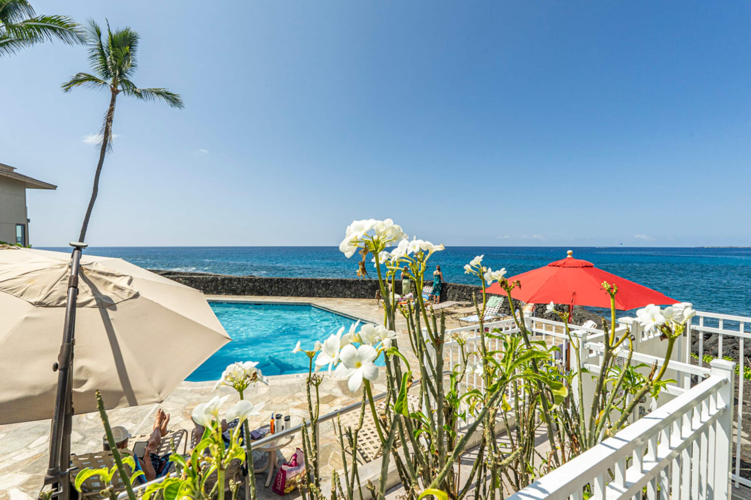 Condo in Kailua-Kona · ★4.92 · 1 bedroom · 1 bed · 1 bath - Image 41