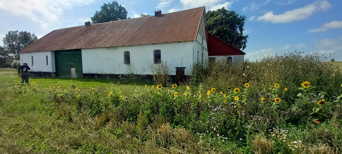 A charming farmhouse with a red roof is surrounded by a vibrant meadow filled with wildflowers, including sunflowers. The white facade contrasts with the green of the fields and the blue sky, presenting a peaceful rural setting.