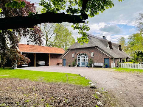 Dream thatched roof house (sauna, fireplace, up to 10 pers.)