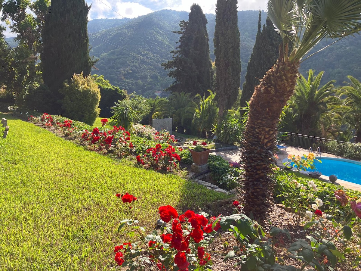 A vibrant garden is featured, showcasing an array of blooming red roses surrounding lush green grass. Towering trees and palm plants are visible in the background, leading to a serene pool area with distant mountains framed by a clear sky.
