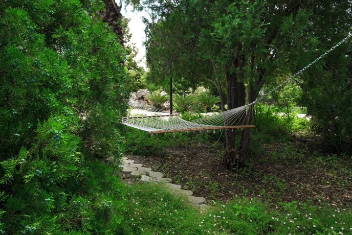 Tenuta Andromeda gallery image 3