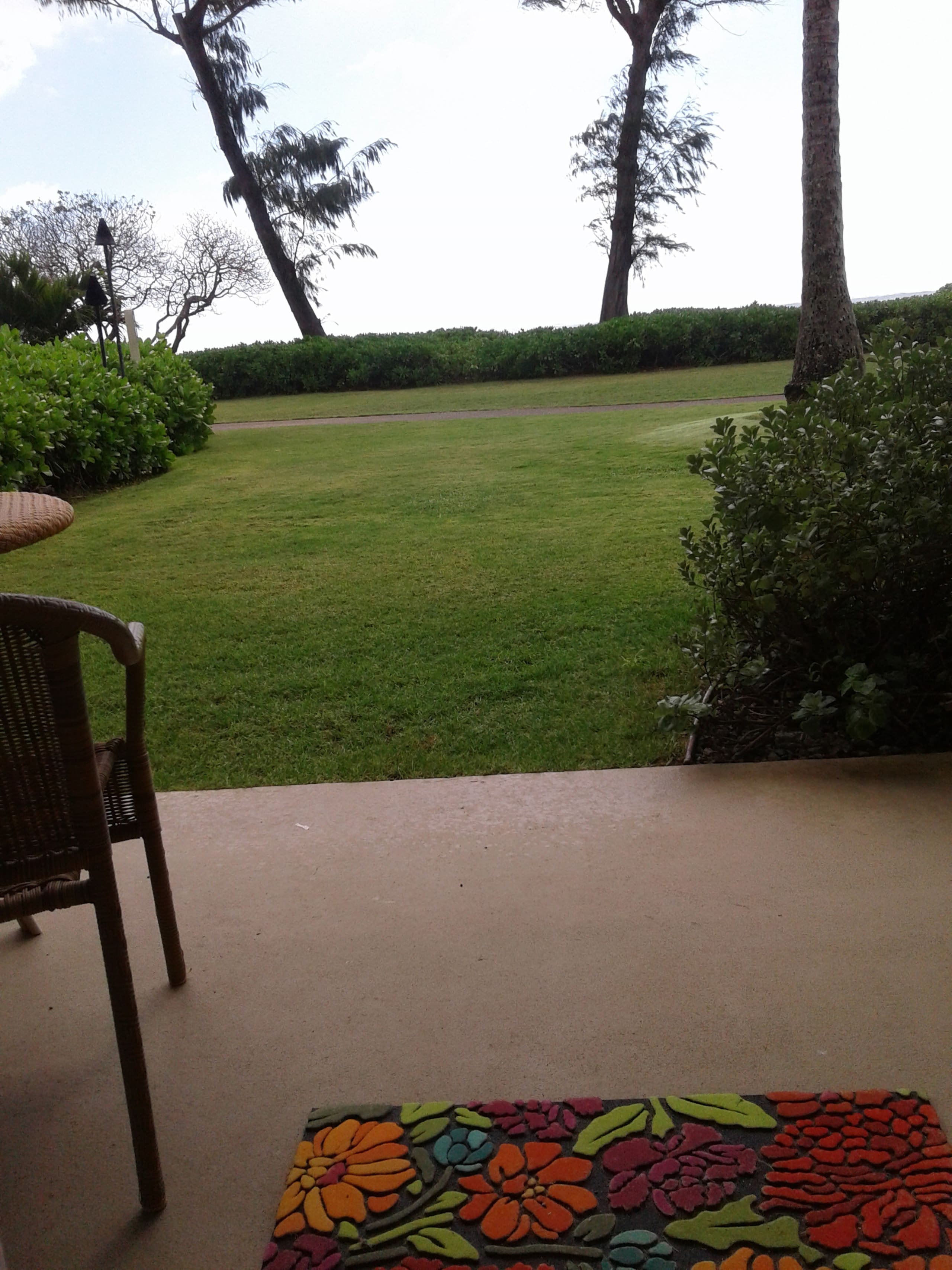 # 145 Great direct ocean front ground level unit. - Photo 39