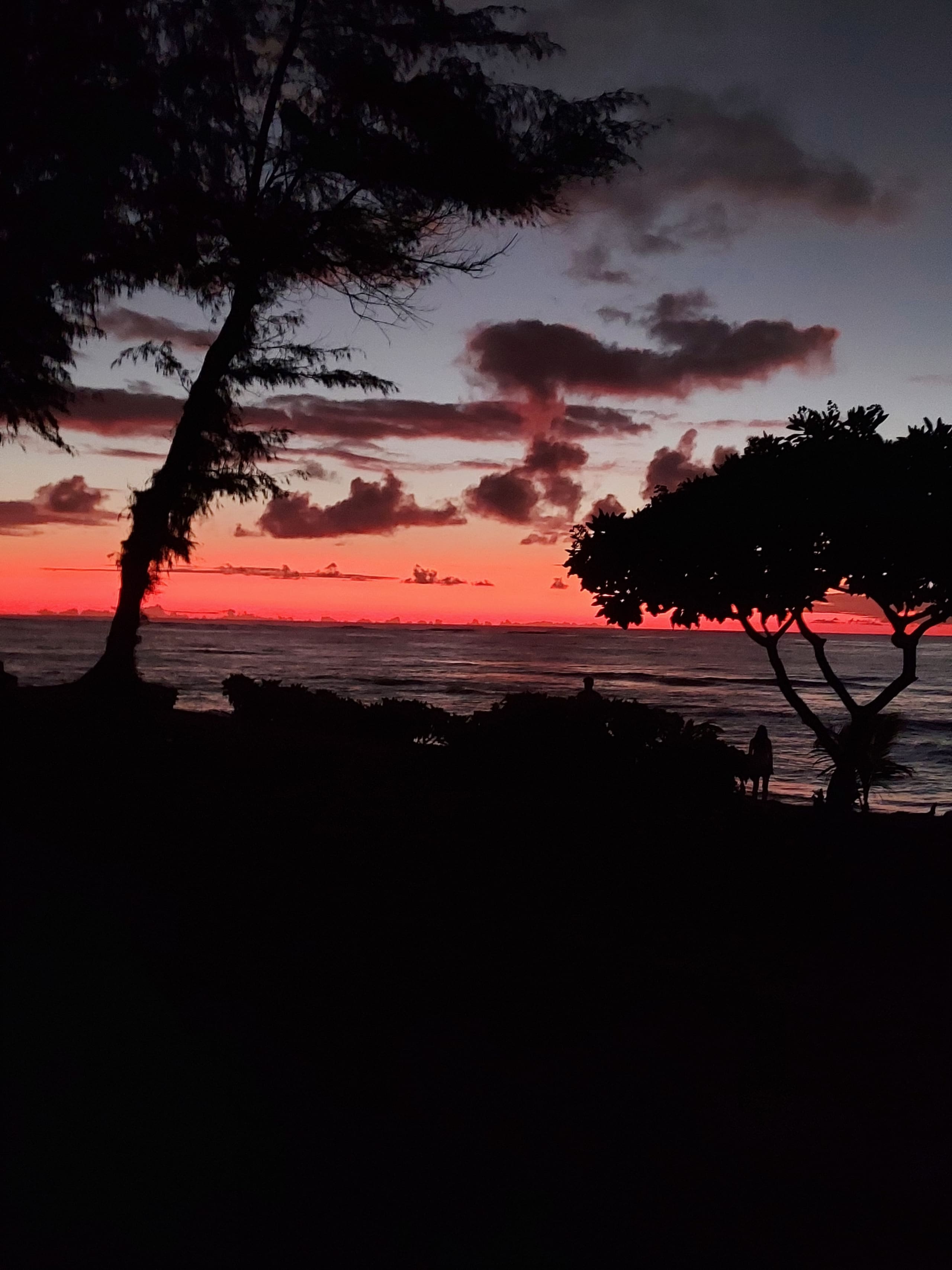# 145 Great direct ocean front ground level unit. - Photo 16