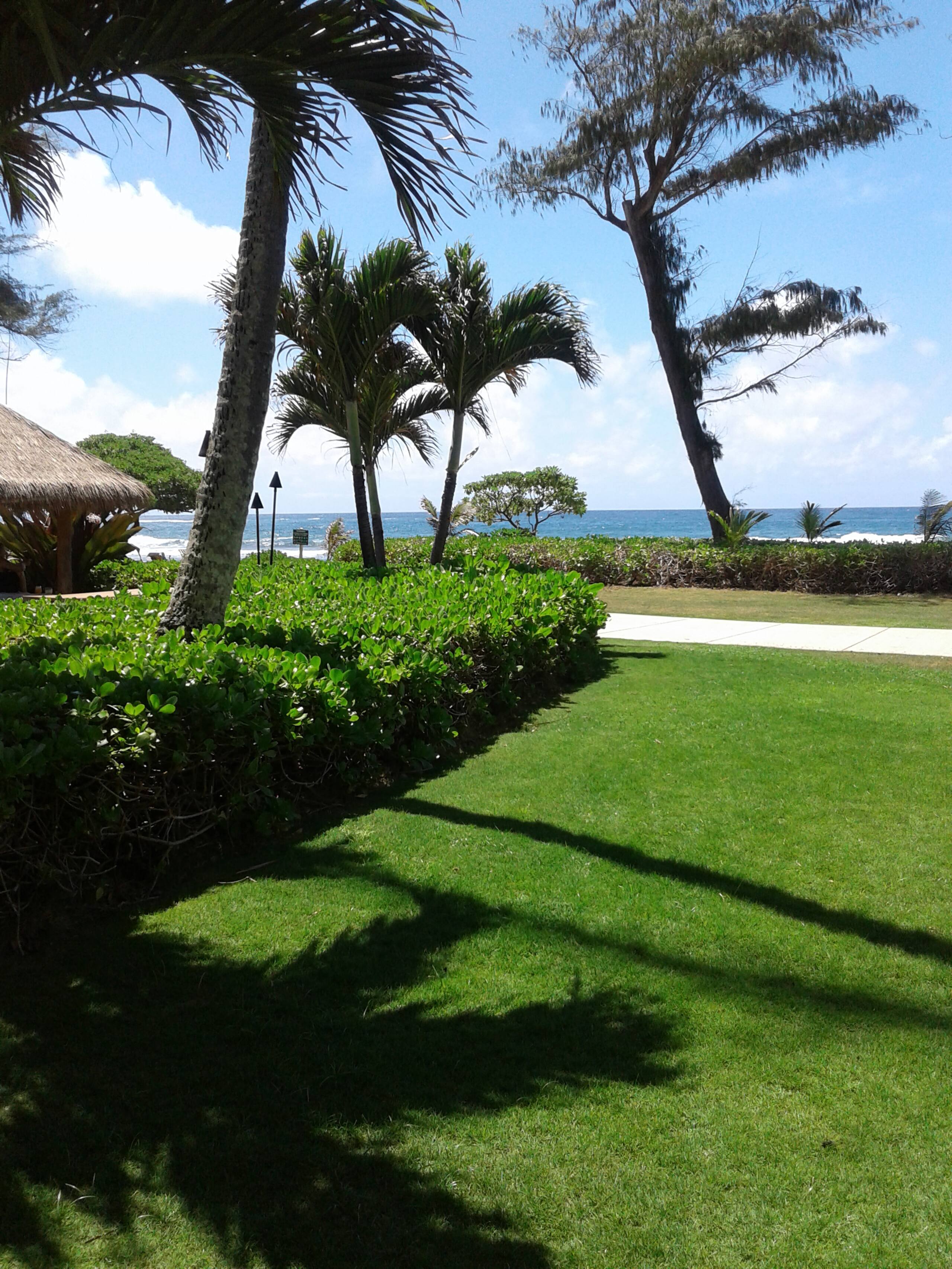 # 145 Great direct ocean front ground level unit. - Photo 40