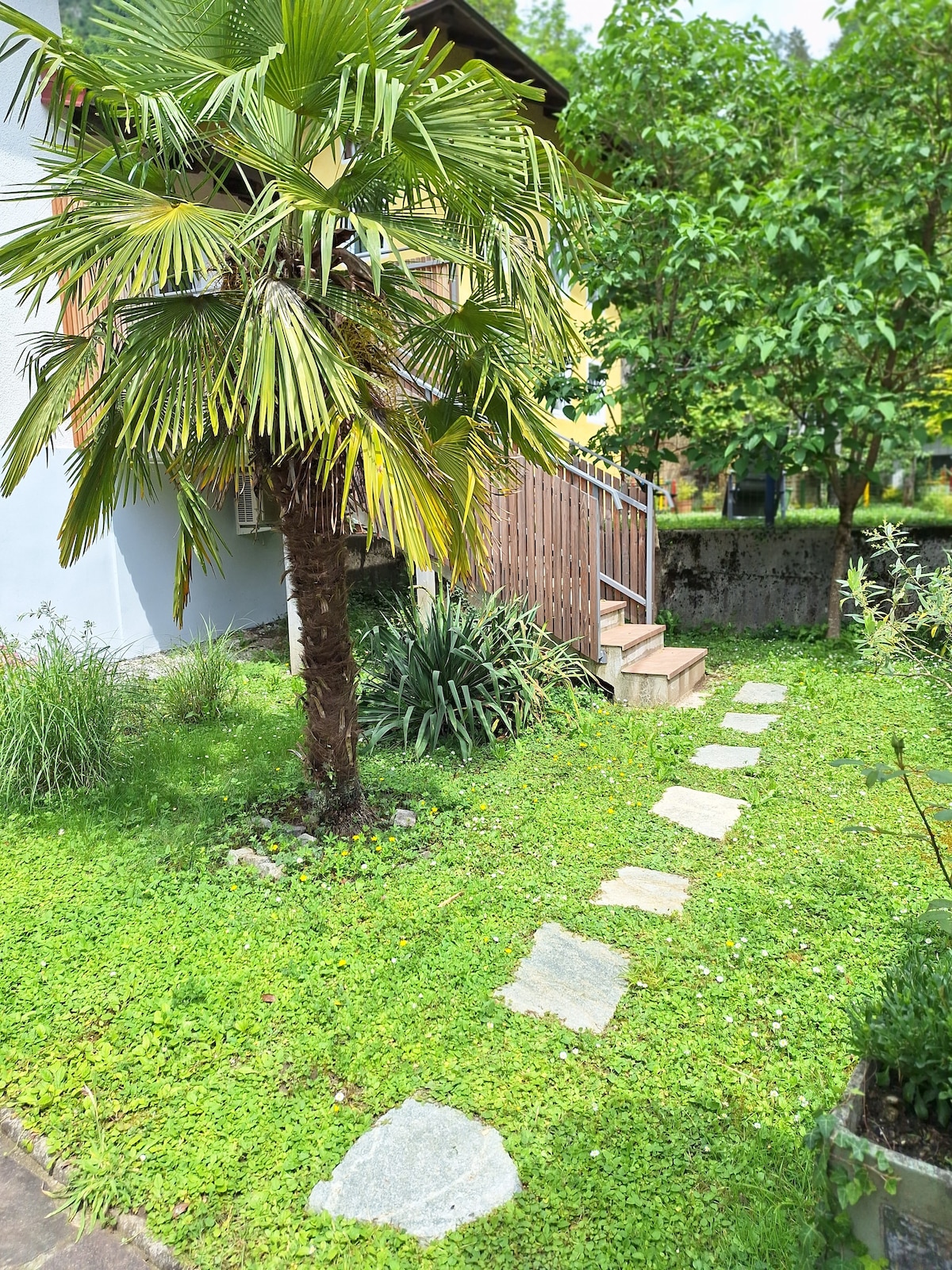 A pathway of stone steps leads to a wooden entryway, surrounded by a lush garden featuring a palm tree and varied greenery. The well-maintained lawn provides a tranquil setting, emphasizing the natural elements of the surrounding area.