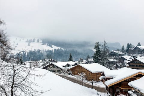CENTRAL BEAUTIFUL GSTAAD APARTMENT