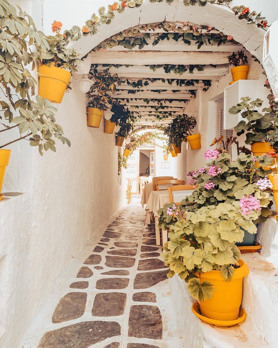 A narrow, charming pathway is lined with white walls and decorated with an array of potted plants in vibrant yellow containers. The stone-paved path leads to a dining area, where tables are set amidst lush greenery and colorful flowers, enhancing the serene atmosphere.