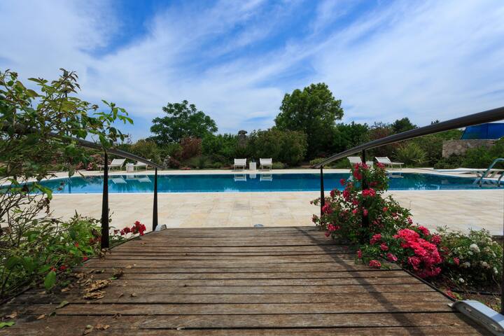 Tenuta Andromeda gallery image 2