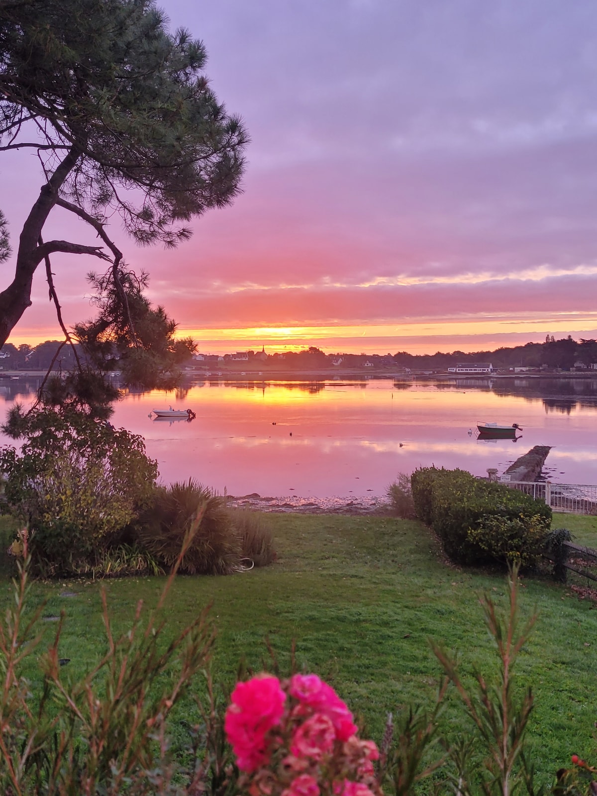 A serene sunset is showcased over the water, with soft pink and orange hues reflecting on the surface. Green grass and shrubs are visible in the foreground, alongside blooming flowers. A few boats can be seen in the distance, enhancing the tranquil setting.