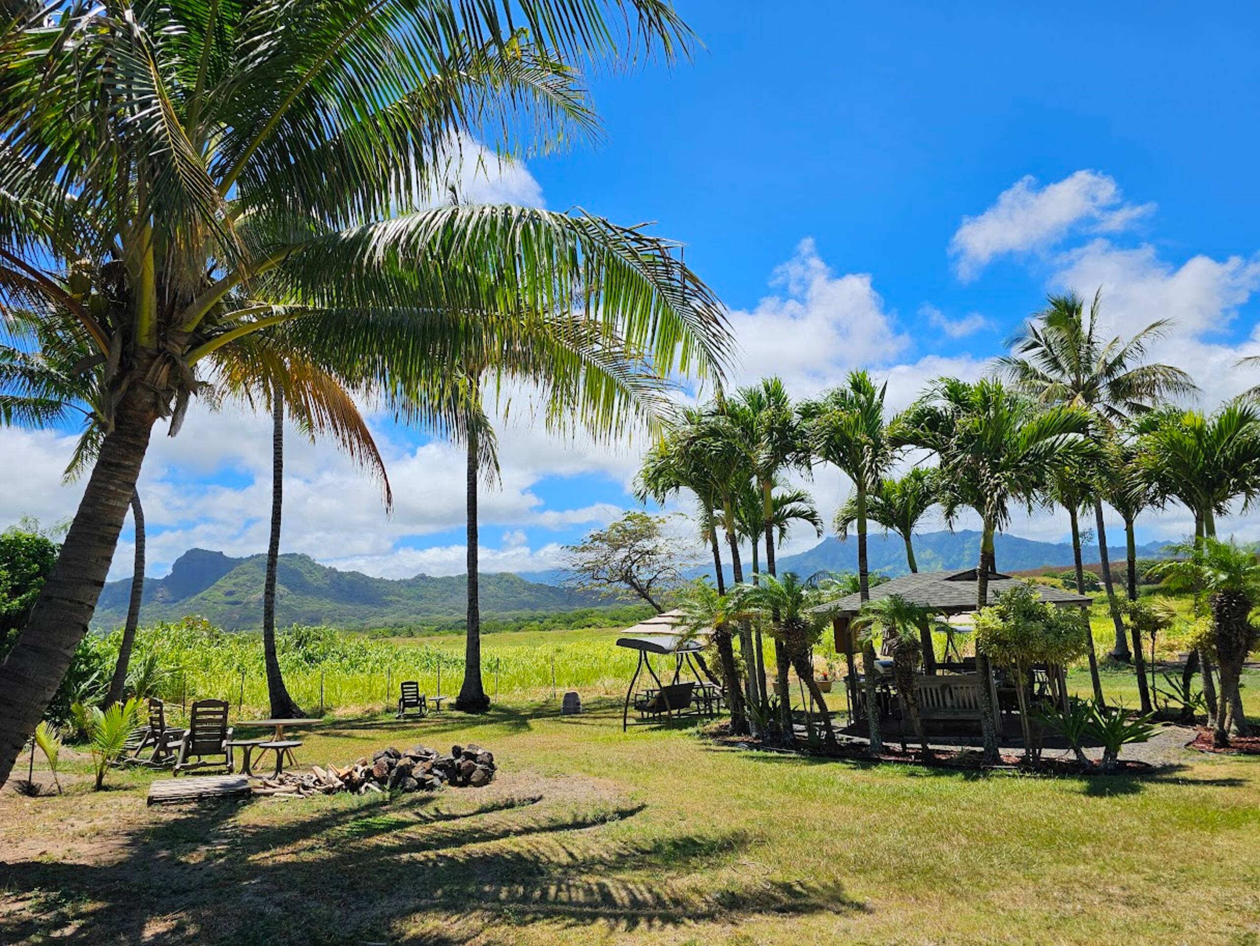 2 Bedroom, 2 Bath w/Private Lanai 5 Min to Ocean - Photo 65
