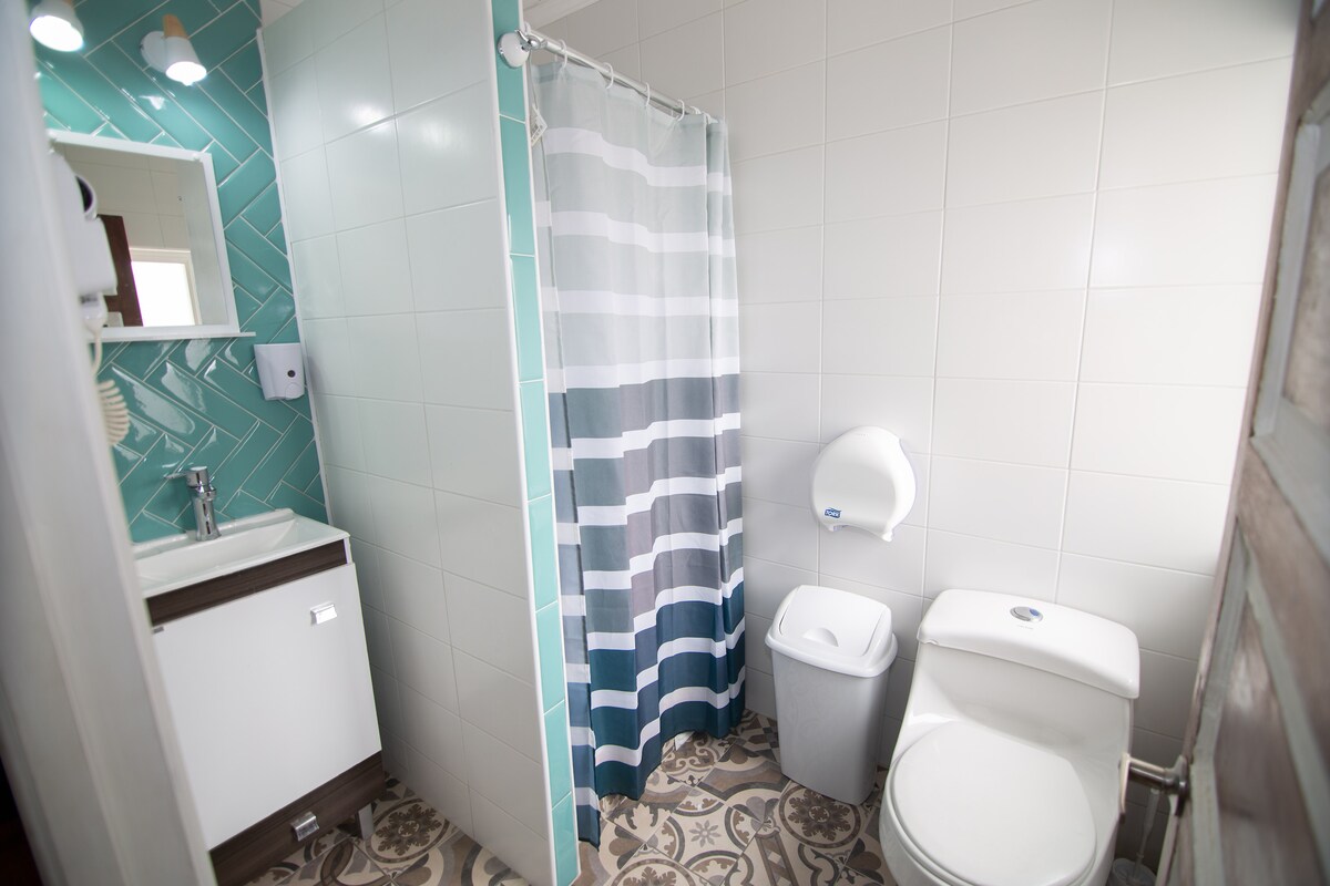 A bright and modern bathroom features a spacious shower area with a striped curtain. A white toilet and a waste bin are clearly visible. A small vanity with a sink provides essential space, complemented by stylish patterned tiles on the floor.
