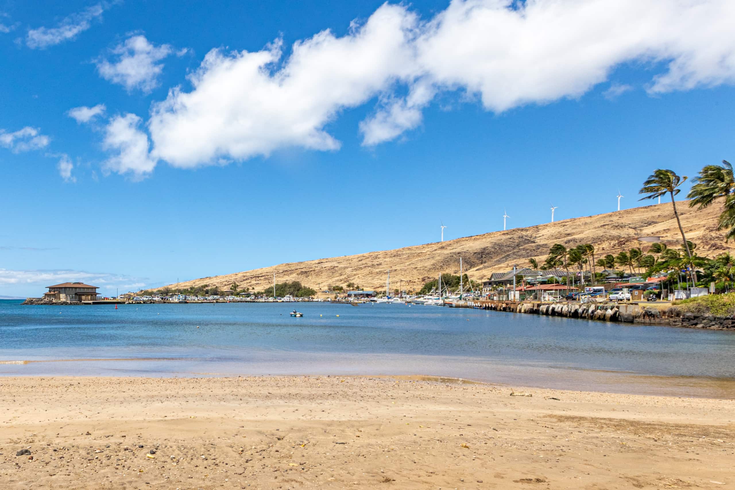 Condo in Wailuku · ★4.83 · 2 bedrooms · 2 beds · 2 baths - Image 49