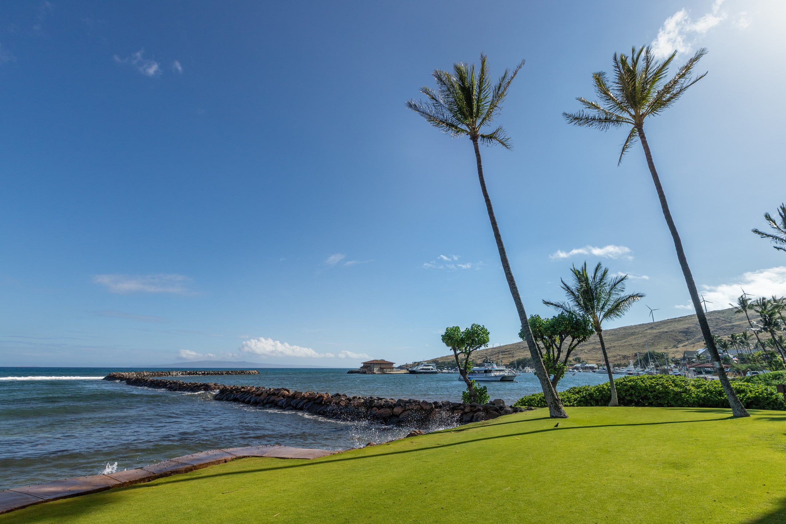 Condo in Wailuku · ★4.83 · 2 bedrooms · 2 beds · 2 baths - Image 46