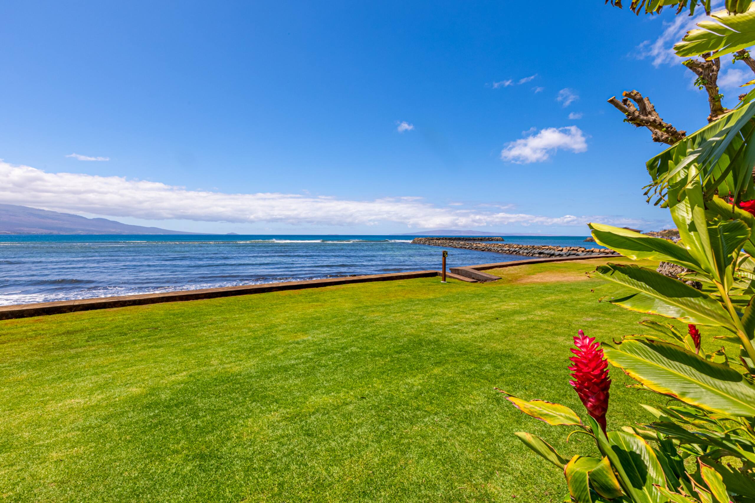 Condo in Wailuku · ★4.83 · 2 bedrooms · 2 beds · 2 baths - Image 45
