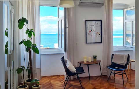 Vlatkoviceva city center apartment