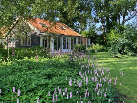 Cottage with unique flair of light and tranquil