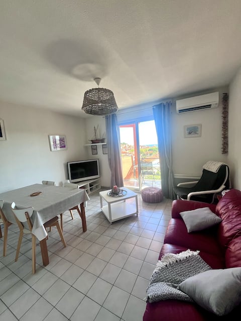 Successful Airbnb property: Apartment: parking, superb sea view in Collioure