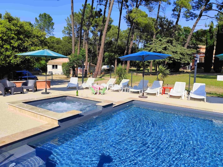 Villa Provenzale Di 500m² A Vaucluse, Con Piscina Su 16500m² (35 Pers.) - Vaucluse