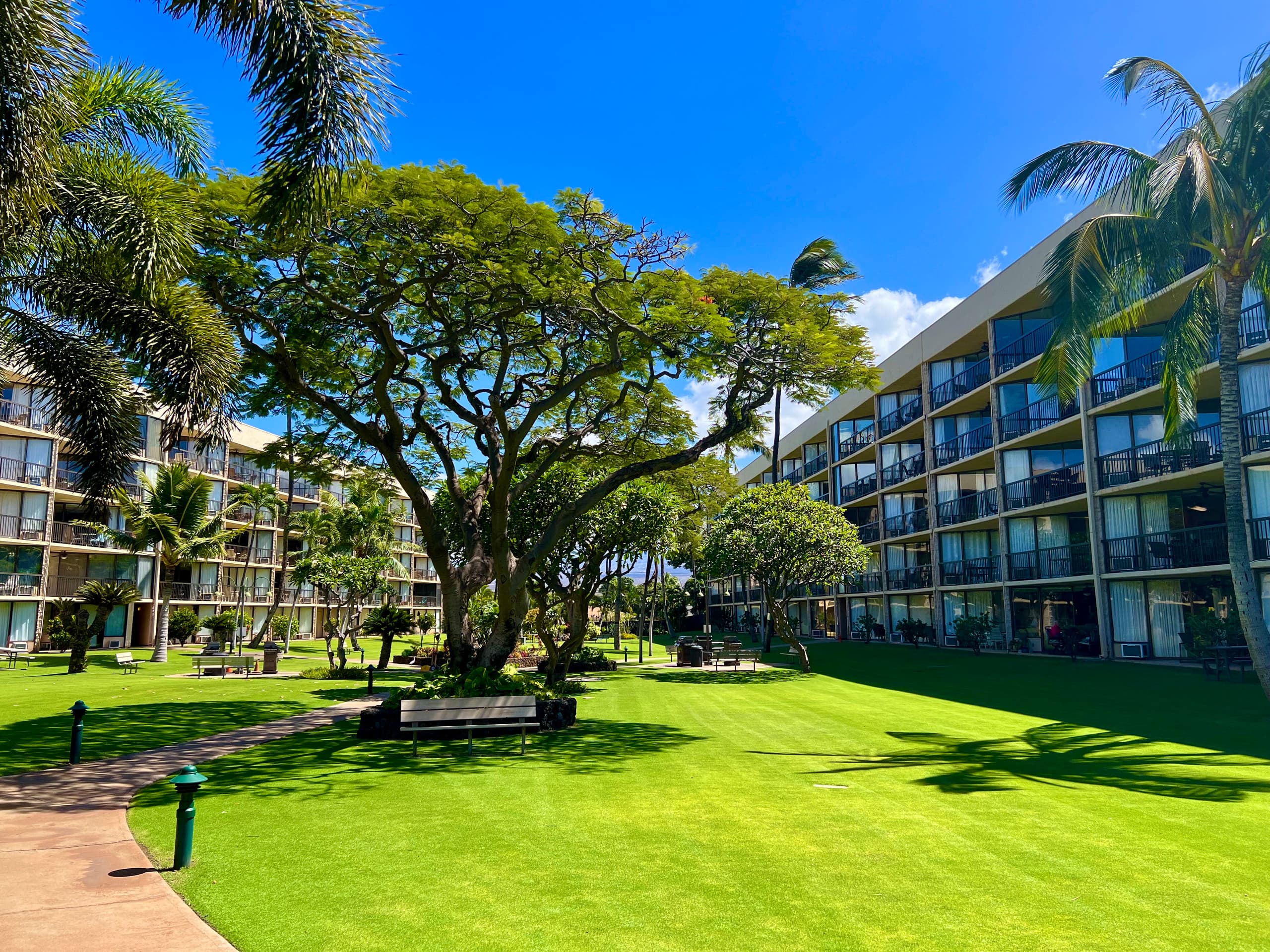 Condo in Kihei · ★4.9 · 2 bedrooms · 4 beds · 2 private baths - Image 16