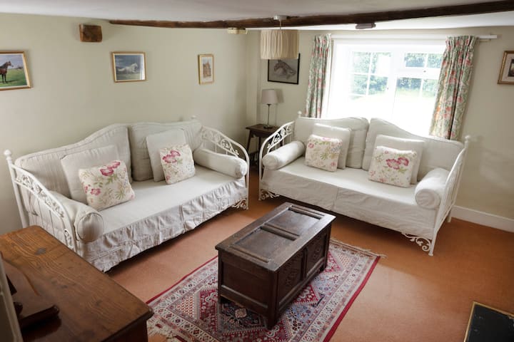 Druhá obývacia izba na prízemí s 2 samostatnými lôžkami v plnej veľkosti