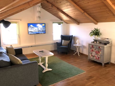 Popular Airbnb listing: Ula's Holiday Apartments - Rooftop Panorama View in Beatenberg