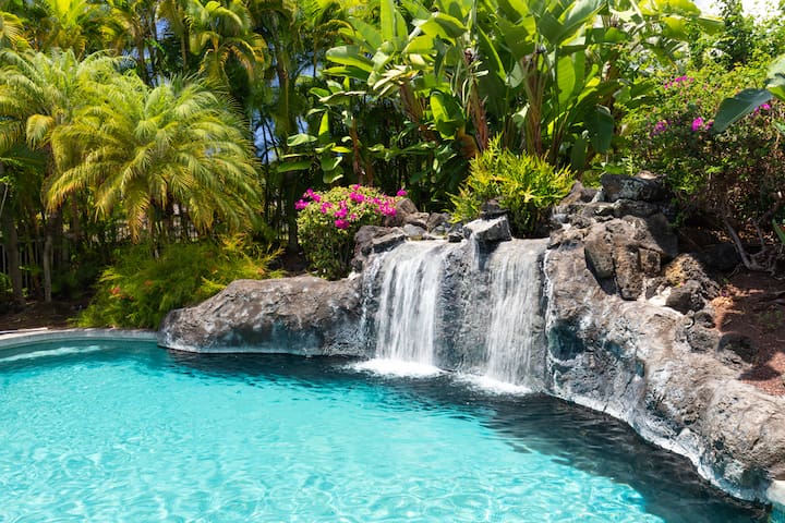 Tropical Private Oasis, Heated Pool & OceanView! gallery image 5